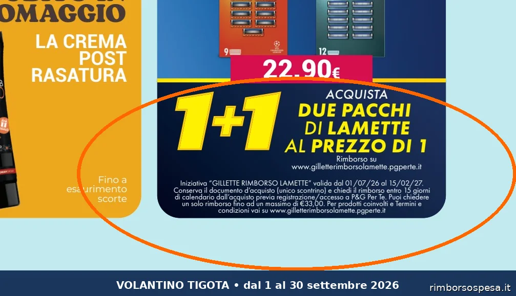Ritaglio volantino Tigotà - Offerta Tigota ritaglio pag12 gillette valida dal 01/09 al 30/09