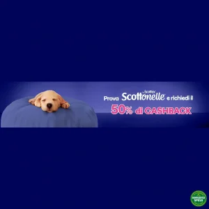 Scottonelle ti Rimborsa il 50% su Amazon (max 21,99€)